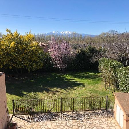 Au Mimosa -Gite Le Canigou Passa Exterior foto